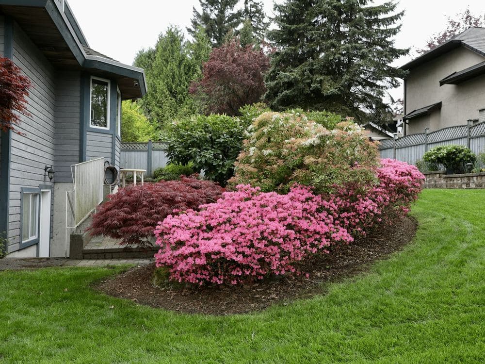 Clean bed edges & seasonal color