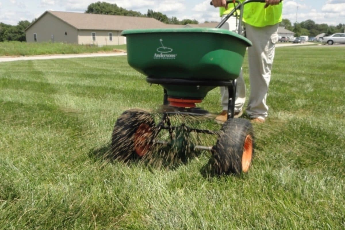 New Lawn Installation & Renovation