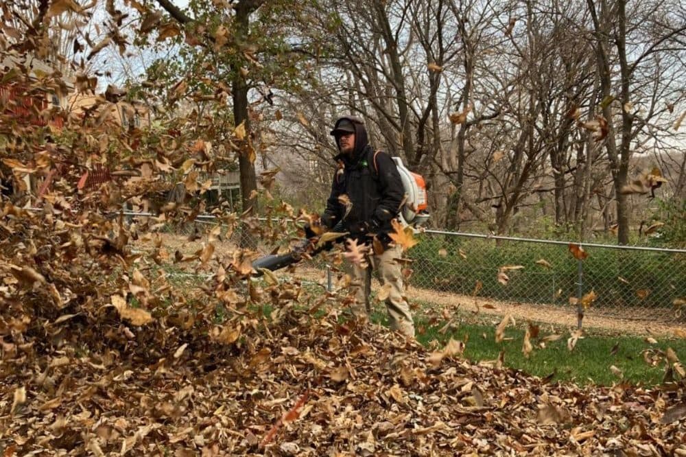 Property Cleanups